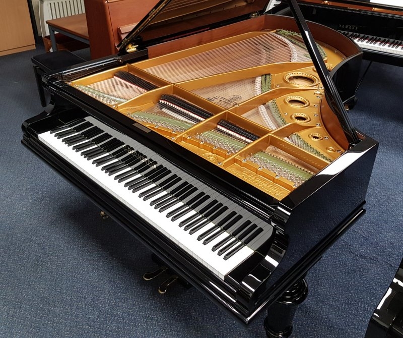 Bechstein V