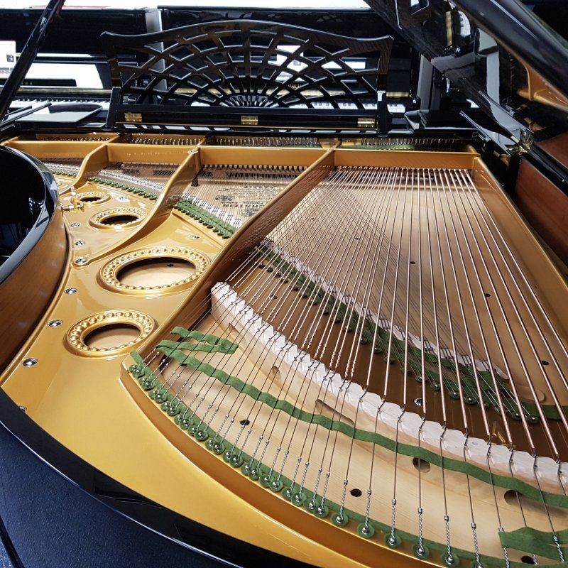 Bechstein V