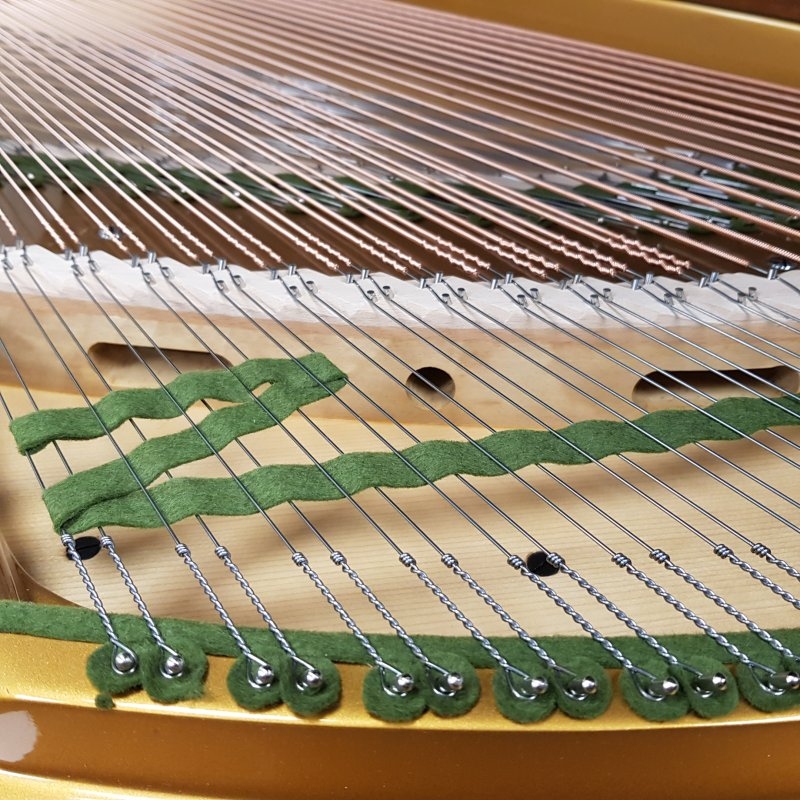 Bechstein V