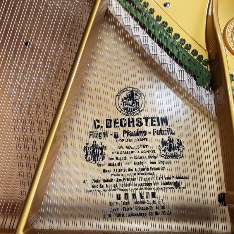 Bechstein V