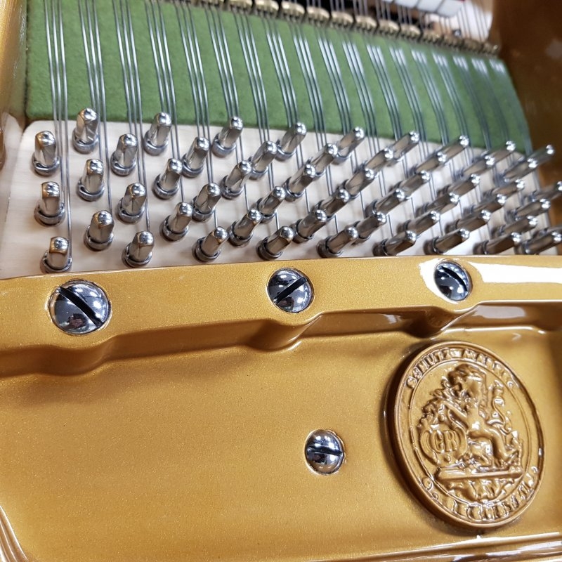 Bechstein V