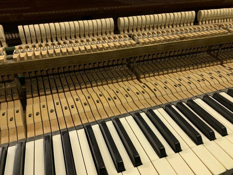 Bluthner VII grand Piano in rosewood – Gallery image – Roberts Pianos Oxford