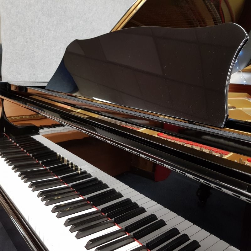 Yamaha C7