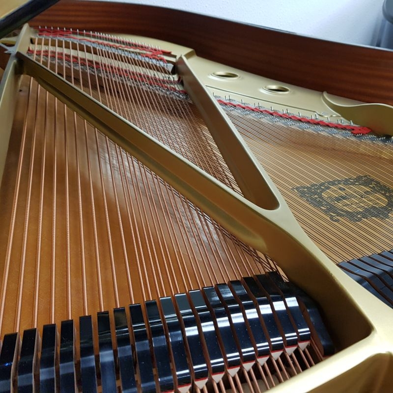 Yamaha C7