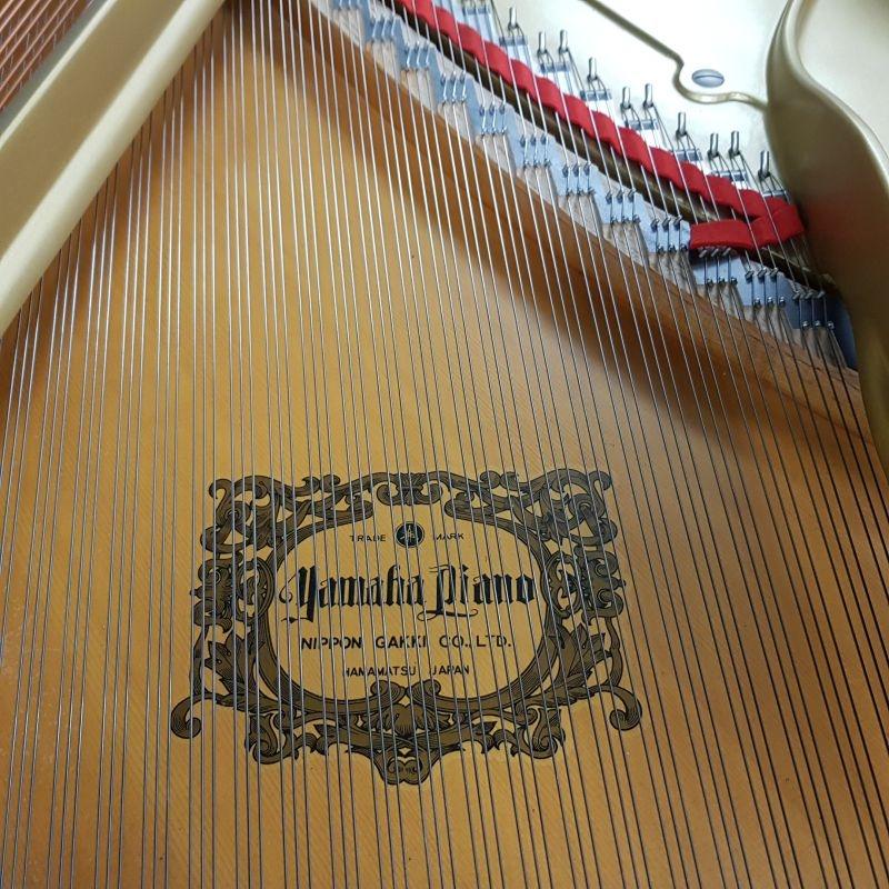 Yamaha C7 grand Piano in bright black – Gallery image – Roberts Pianos Oxford