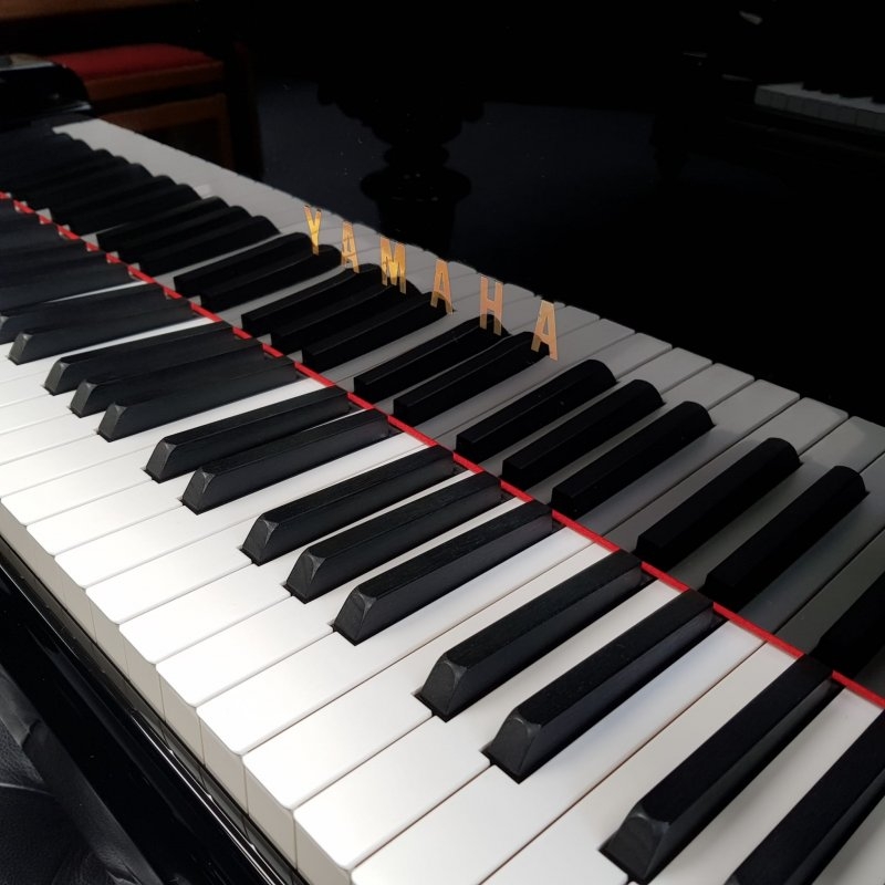 Yamaha S6