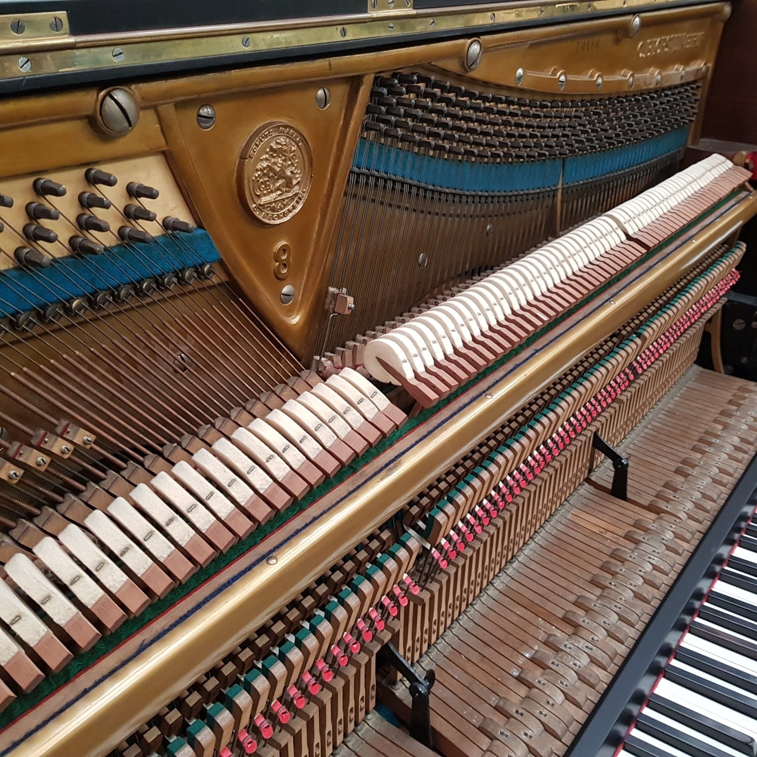 Bechstein 8