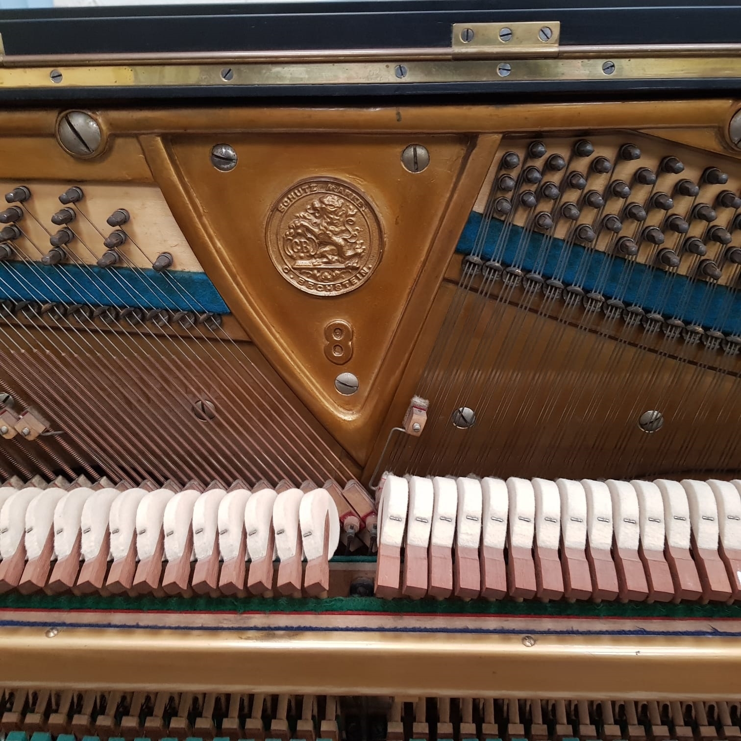 Bechstein 8