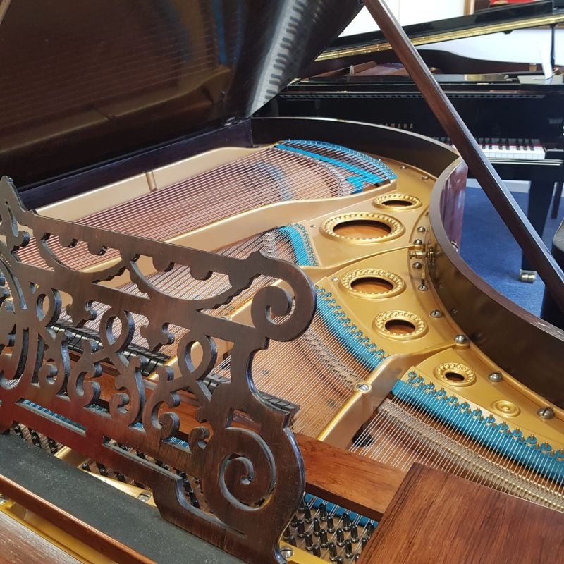 Bechstein V