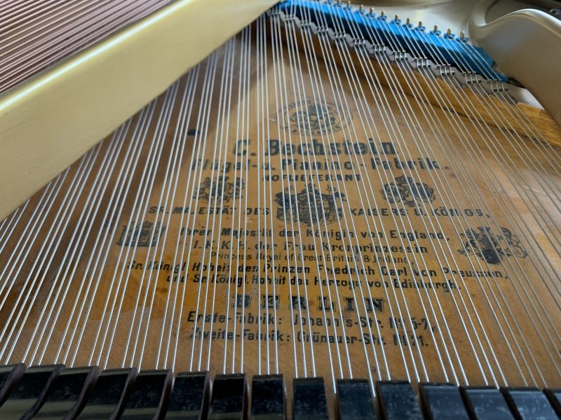 Bechstein V