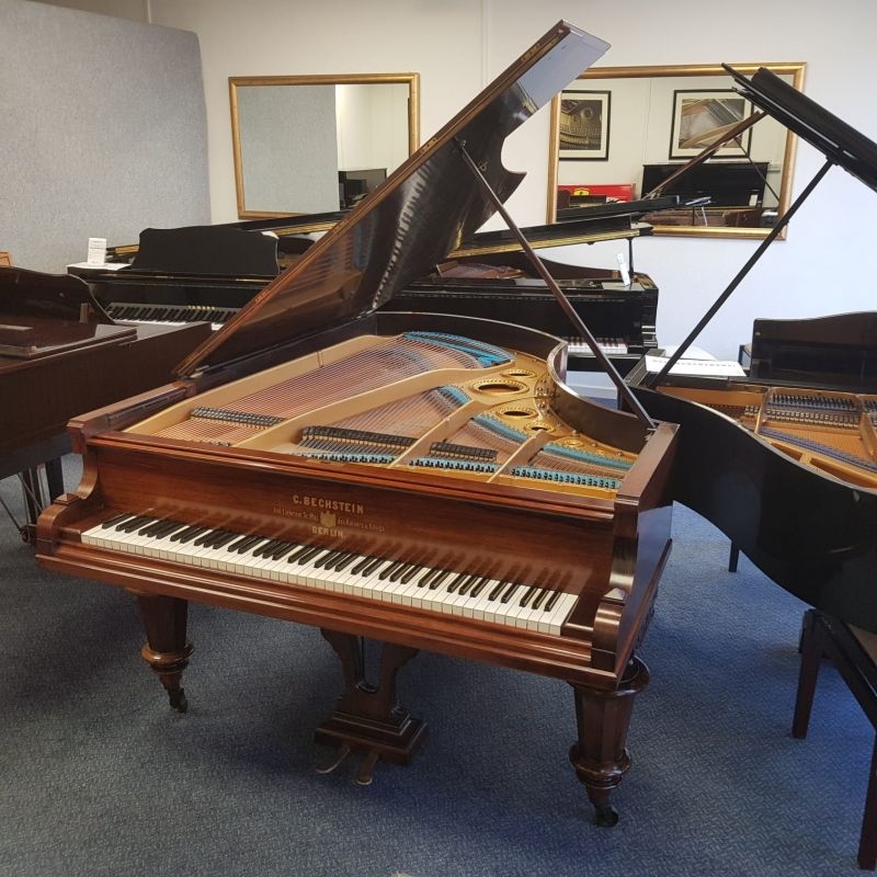 Bechstein V