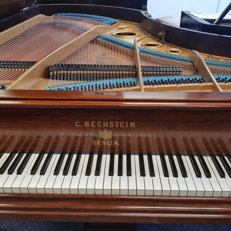 Bechstein V