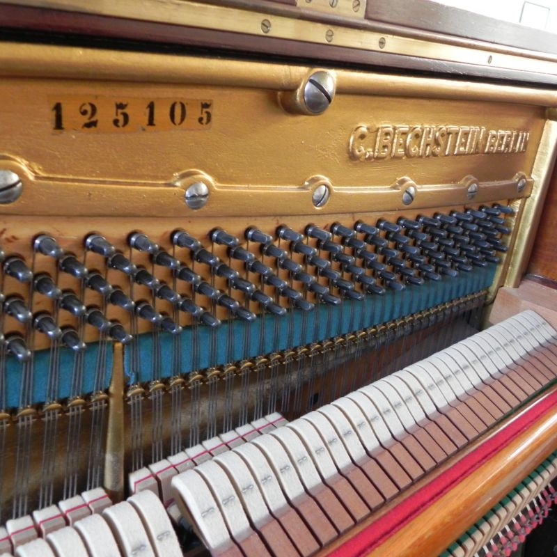 Bechstein 8