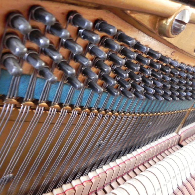Bechstein 8