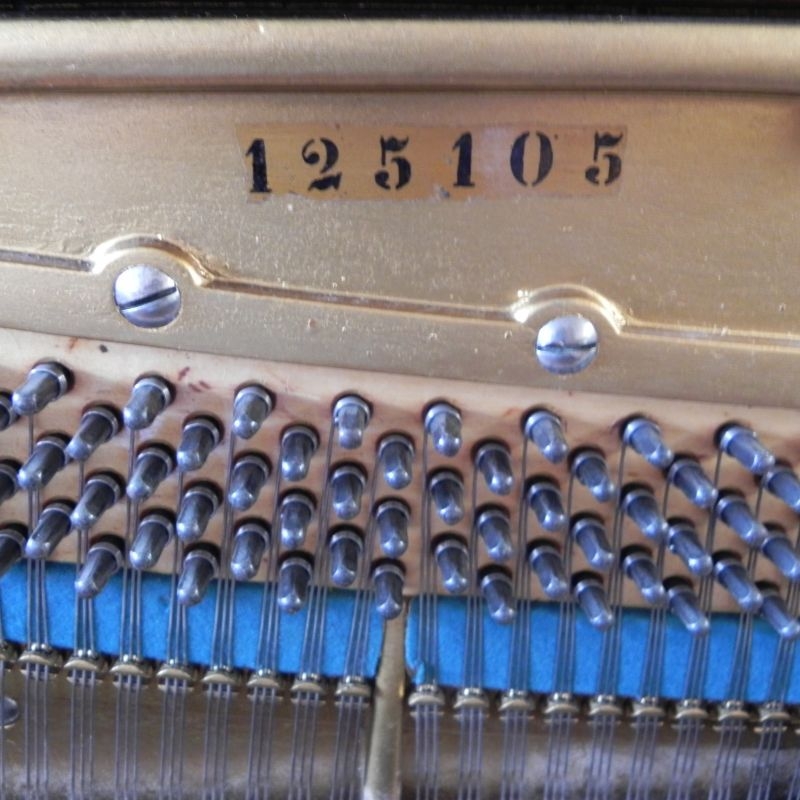 Bechstein 8