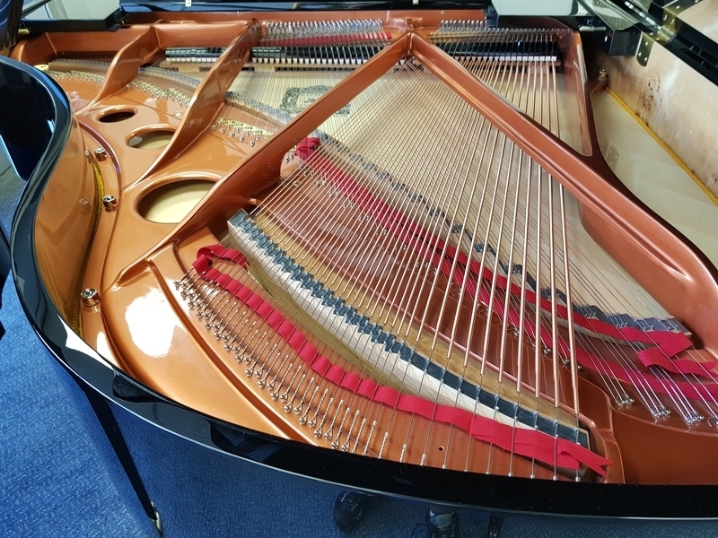 Feurich F179 Dynamic II