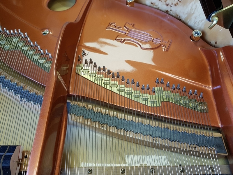 Feurich F162 Dynamic I