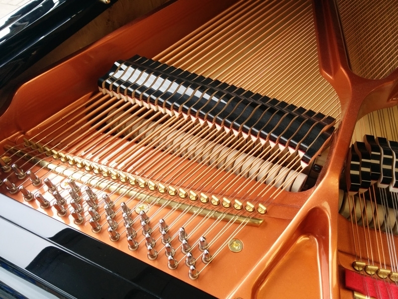 Feurich F162 Dynamic I