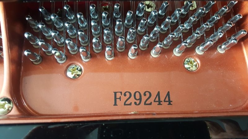 Feurich F162 Dynamic I