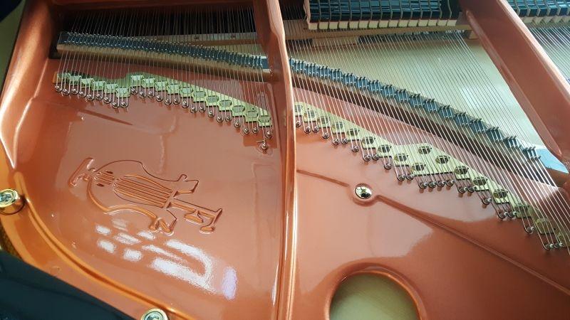 Feurich F162 Dynamic I grand Piano in Black – Gallery image – Roberts Pianos Oxford