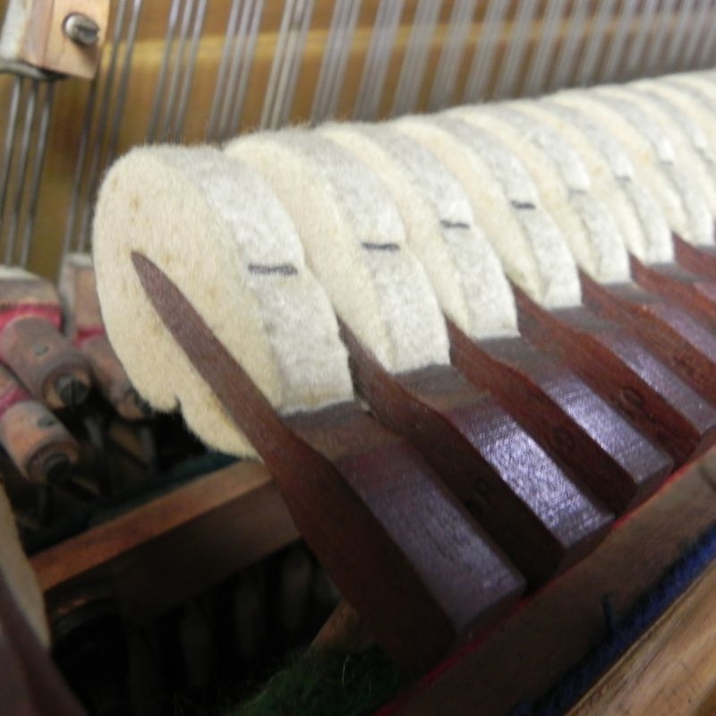 Bechstein 7