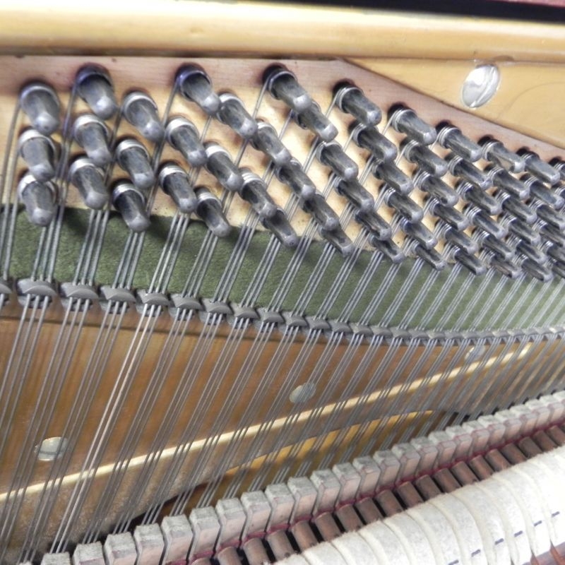 Bechstein 7
