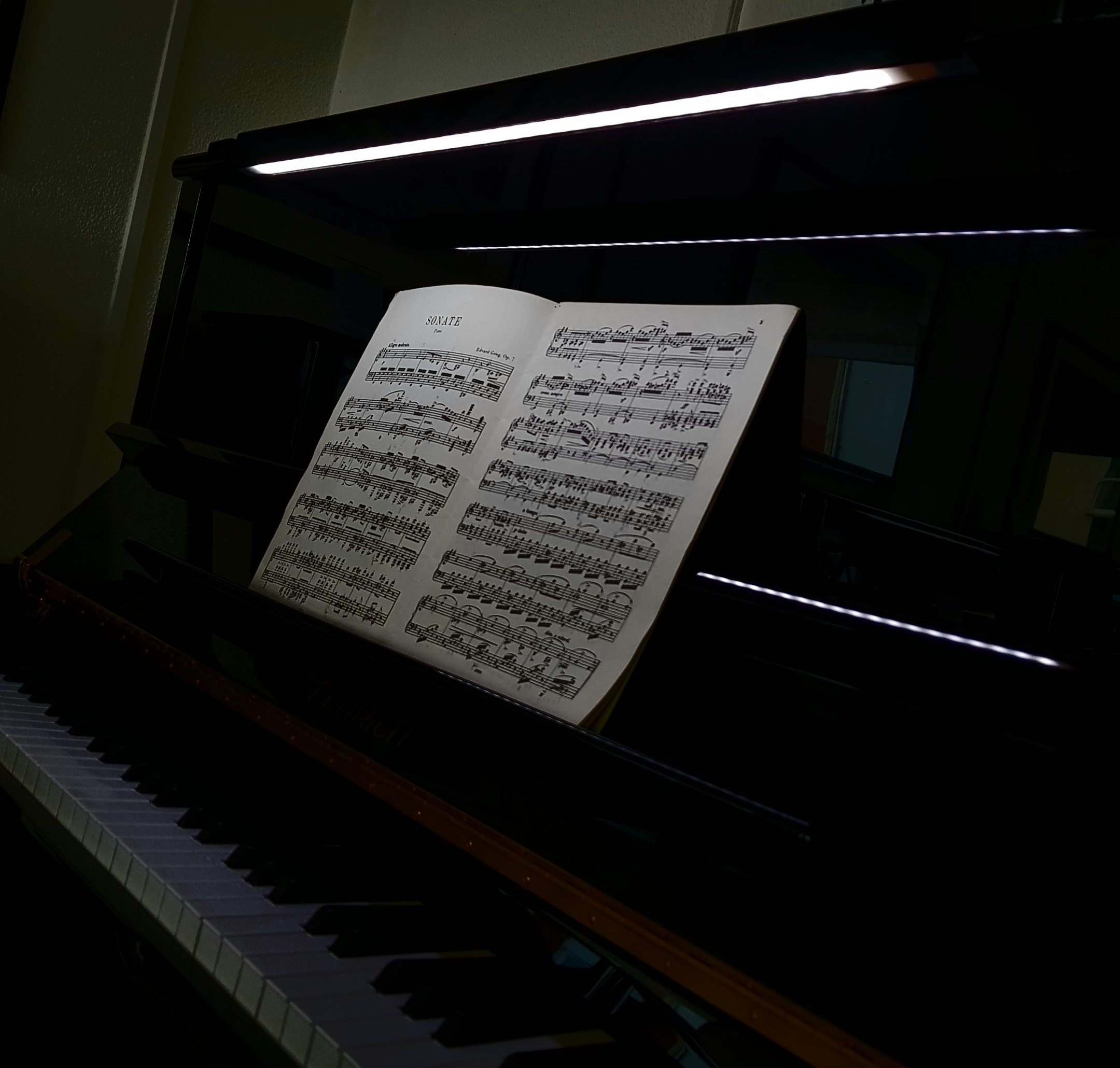 Feurich 133 Concert