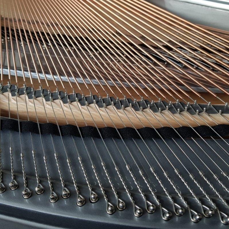 Feurich F179 Dynamic II grand Piano in black – Gallery image – Roberts Pianos Oxford