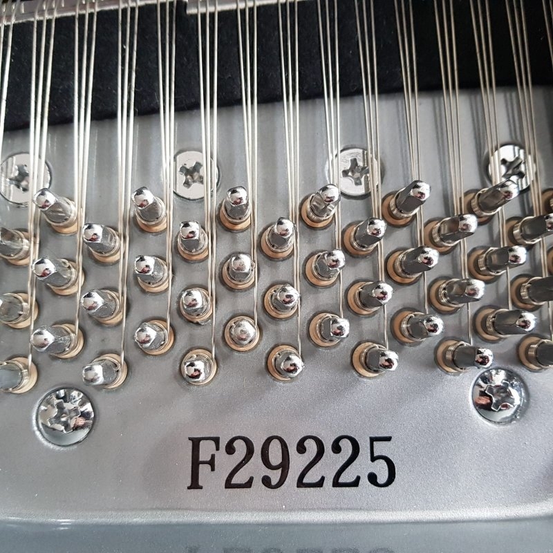 Feurich F179 Dynamic II