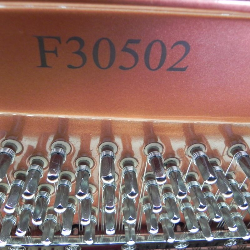 Feurich 122