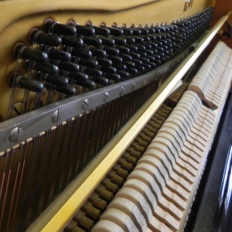 Yamaha U1G