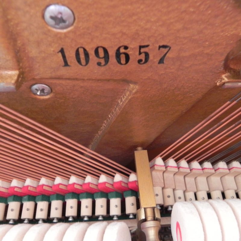 Grotrian Steinweg 110