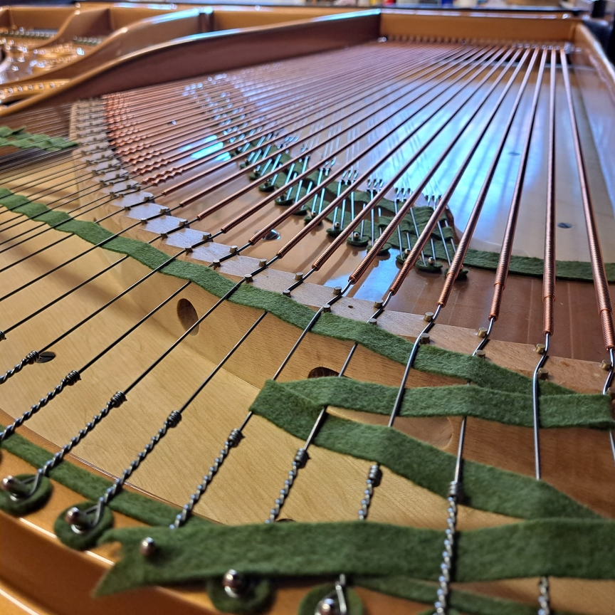 Bechstein model V