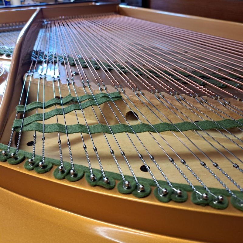 Bechstein model V
