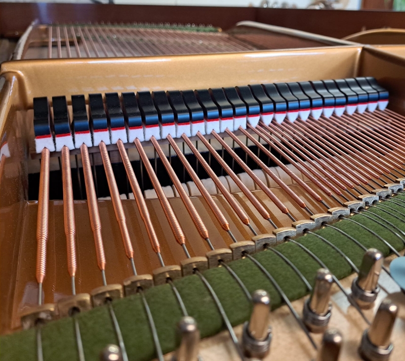 Bechstein model V