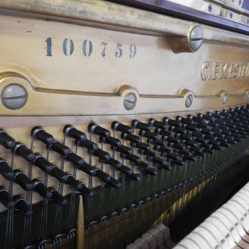 Bechstein 8