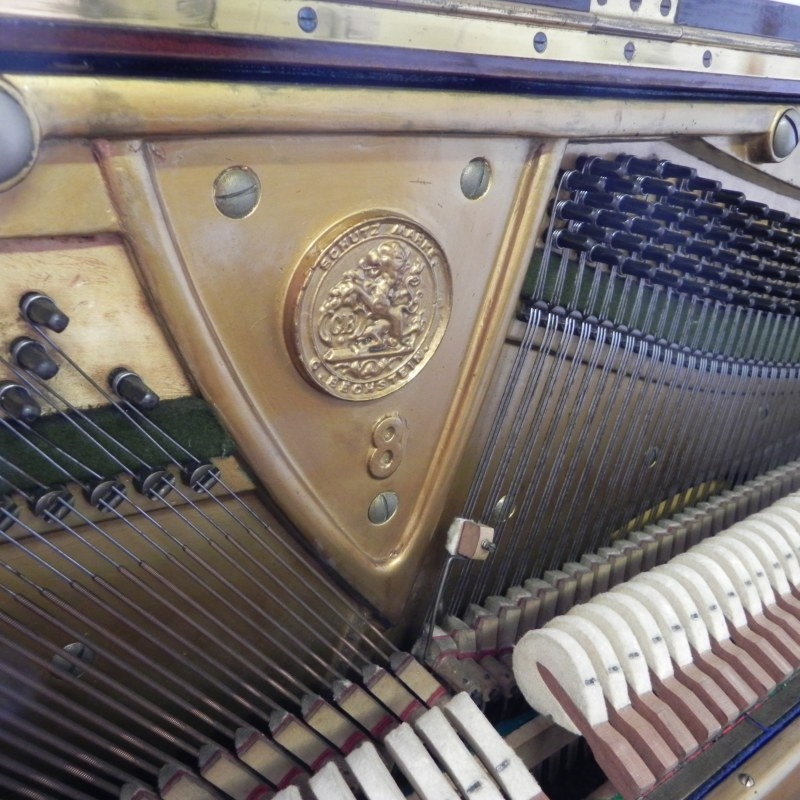 Bechstein 8