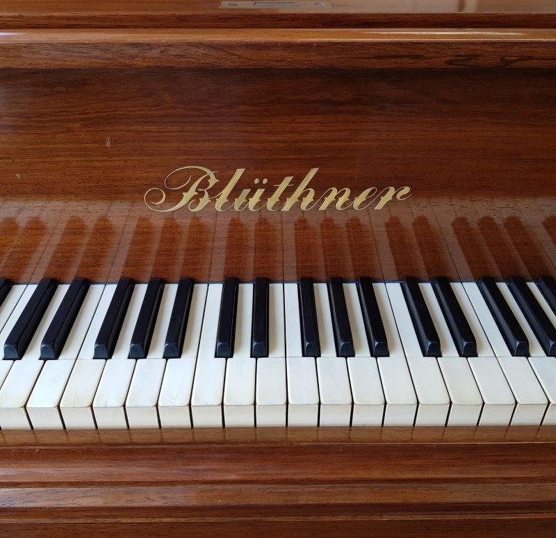 Bluthner style VII grand Piano in kingwood + rosewood? – Gallery image – Roberts Pianos Oxford