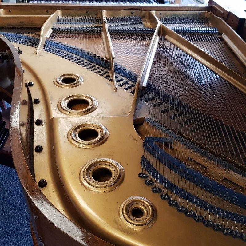 Bluthner style VII grand Piano in kingwood + rosewood? – Gallery image – Roberts Pianos Oxford