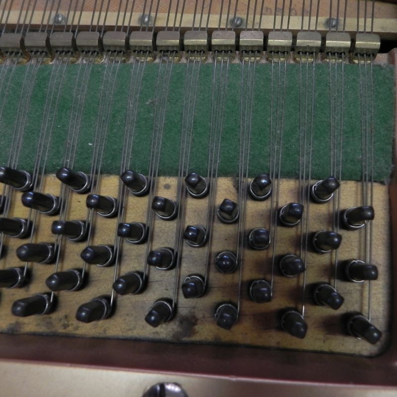 Bechstein IV