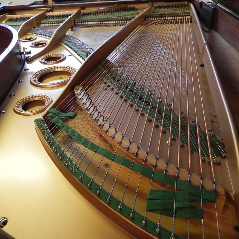 Bechstein IV