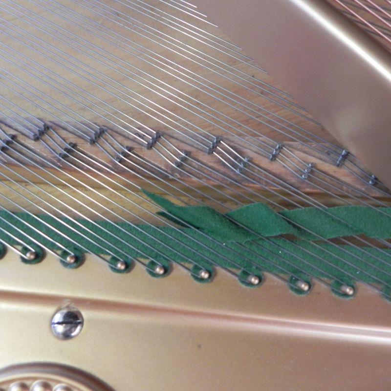 Bechstein IV grand Piano in figured rosewood – Gallery image – Roberts Pianos Oxford