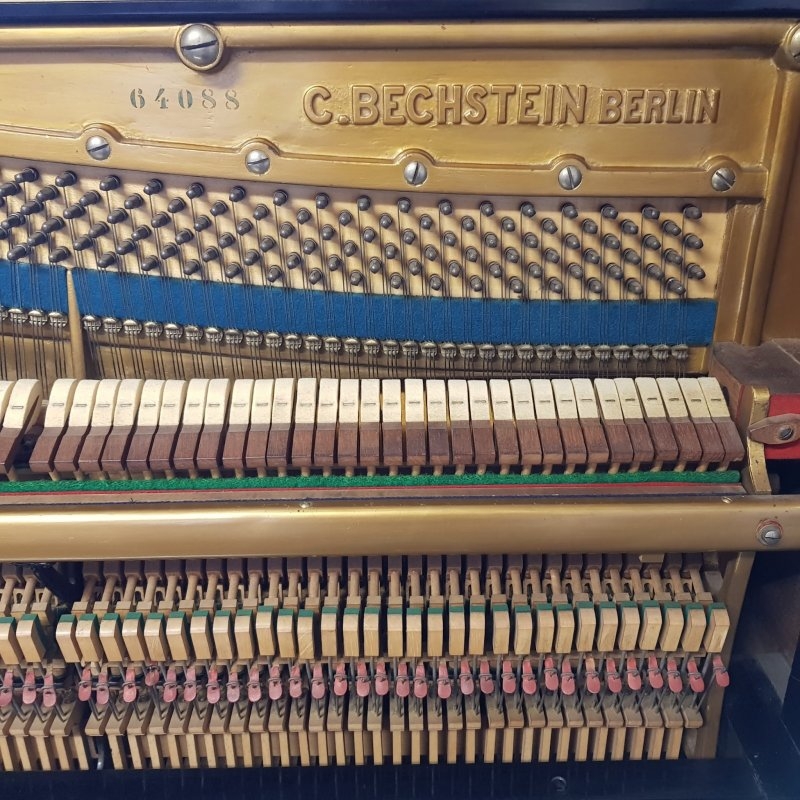 Bechstein 8