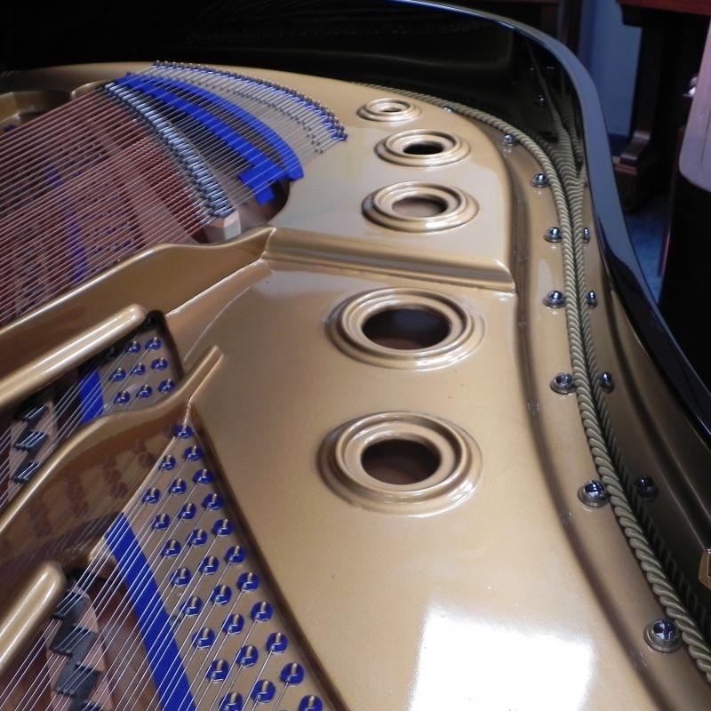 Bluthner Style VII grand Piano in Black – Gallery image – Roberts Pianos Oxford