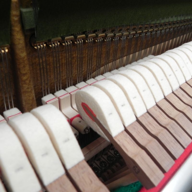Bechstein Millennium