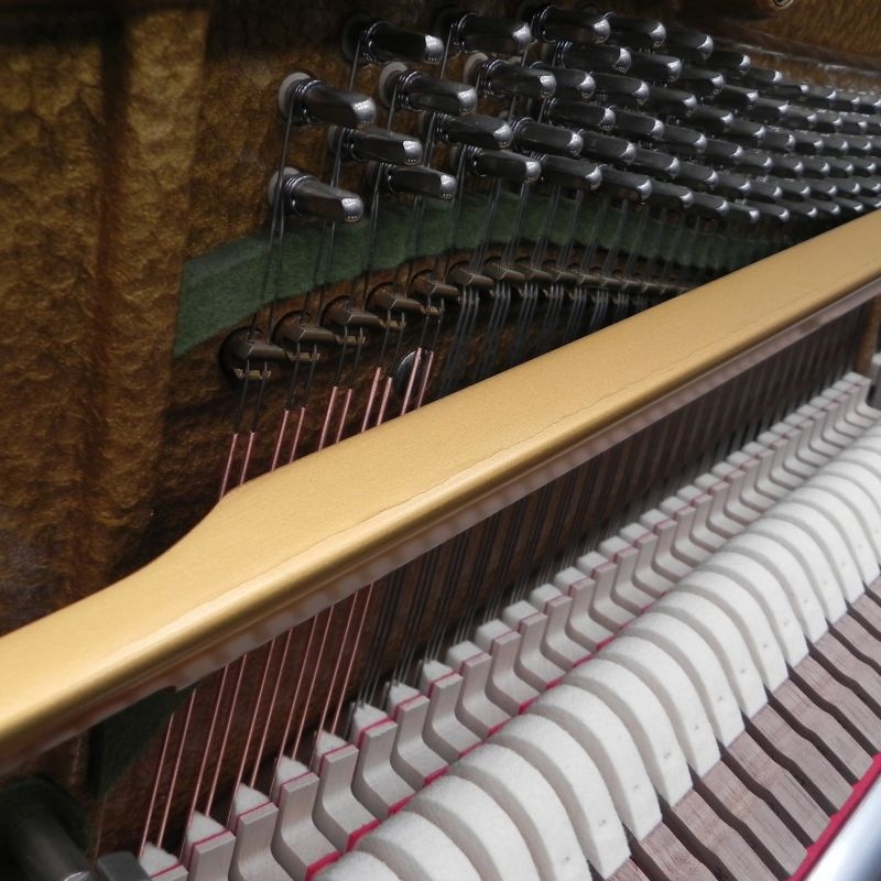 Bechstein Millennium