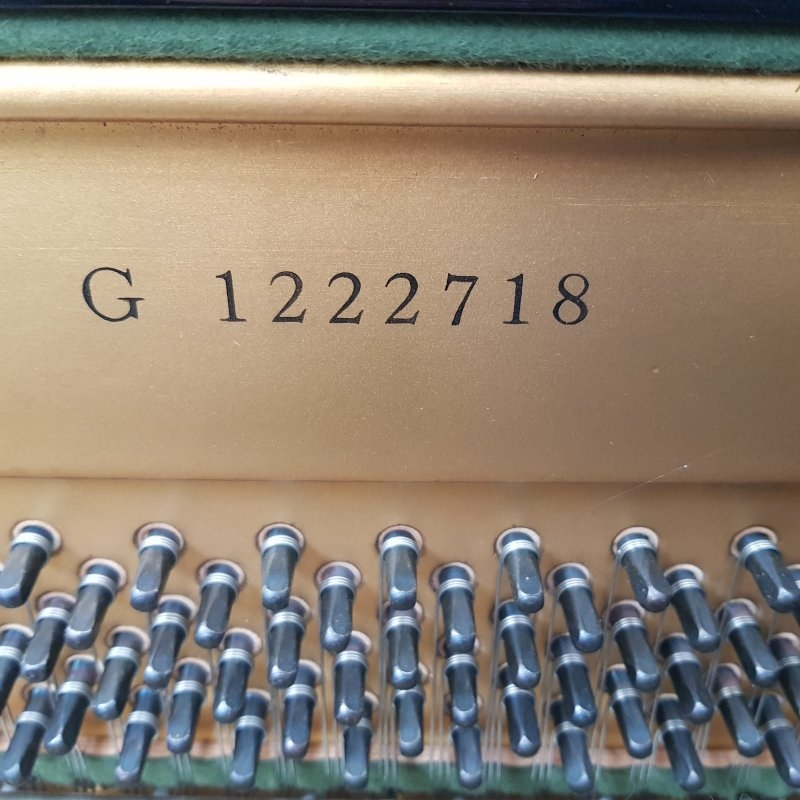 Yamaha U3G