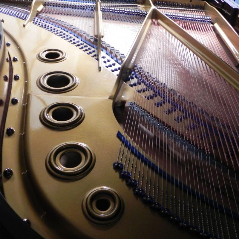 Bluthner Style VII grand Piano in rosewood – Gallery image – Roberts Pianos Oxford