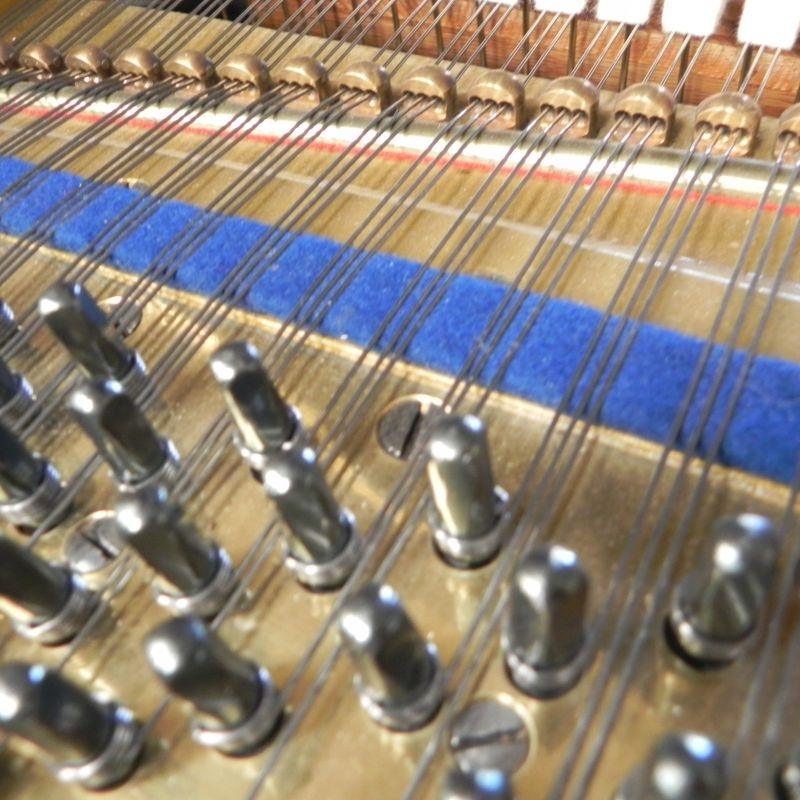 Bluthner Style VII grand Piano in rosewood – Gallery image – Roberts Pianos Oxford
