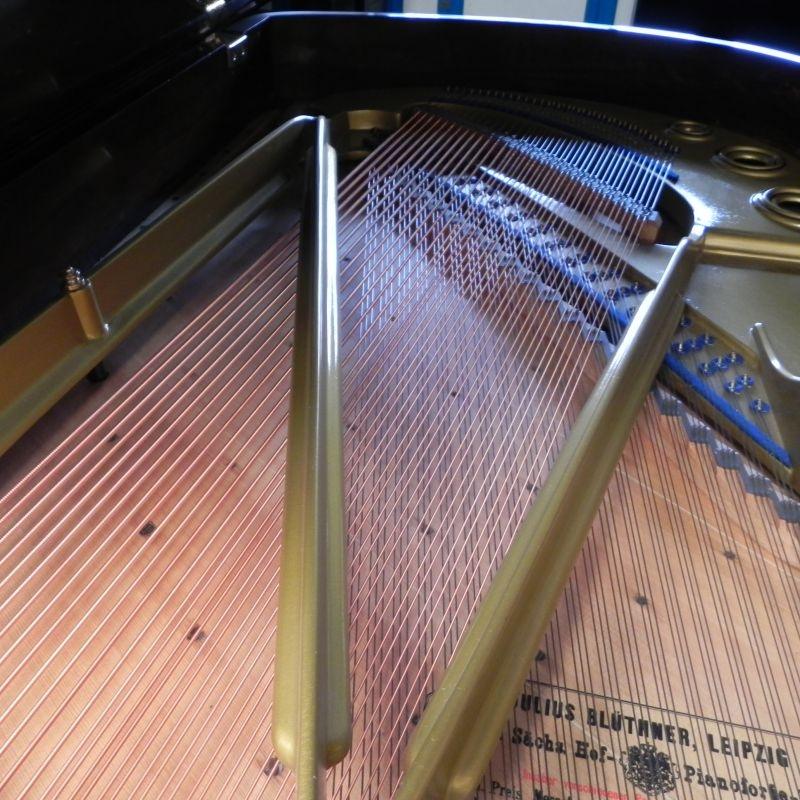 Bluthner Style VII grand Piano in rosewood – Gallery image – Roberts Pianos Oxford